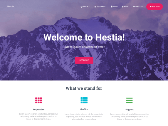 best free wordpress theme for affiliate marketing